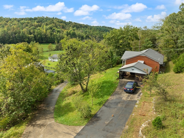 bird's eye view