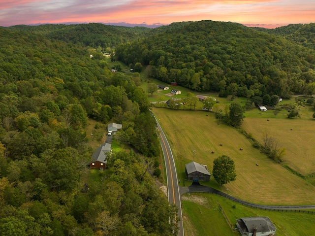 aerial view at dusk with a rural view