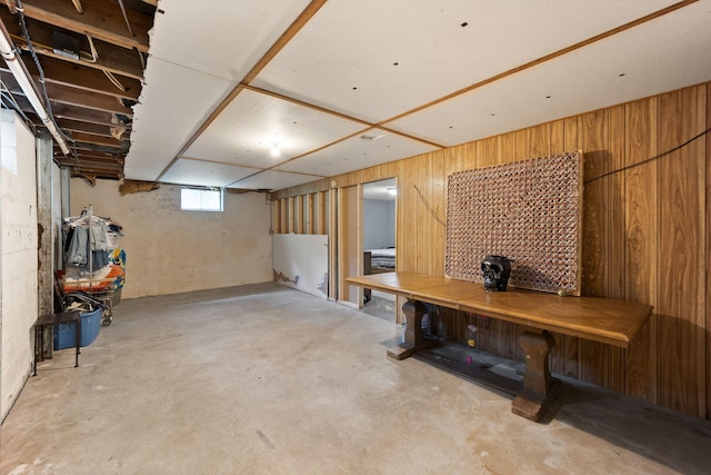 basement with wood walls