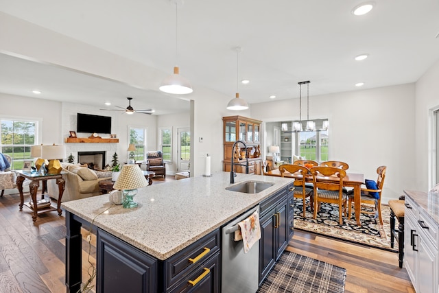 kitchen with dark hardwood / wood-style flooring, plenty of natural light, and sink