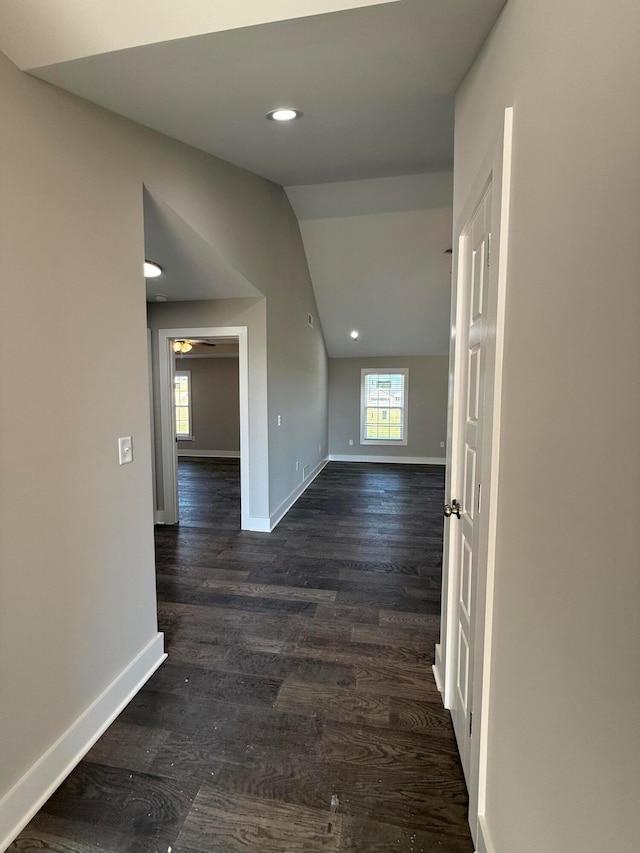 hall featuring lofted ceiling and dark hardwood / wood-style flooring