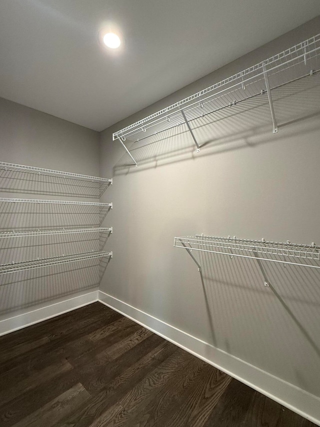 walk in closet featuring dark hardwood / wood-style flooring