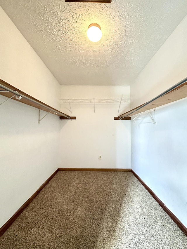 walk in closet featuring carpet