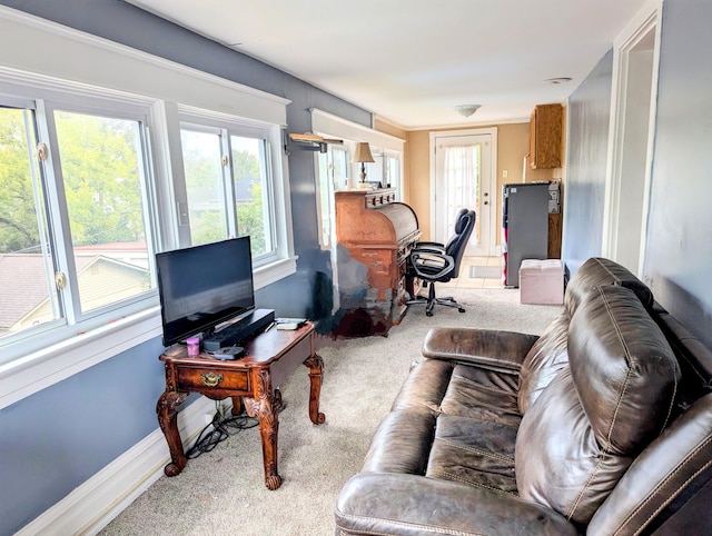 view of carpeted living room