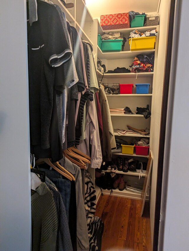 spacious closet with hardwood / wood-style floors