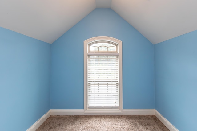 empty room with carpet floors and lofted ceiling