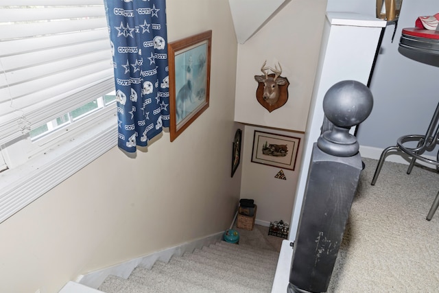 interior space with carpet floors