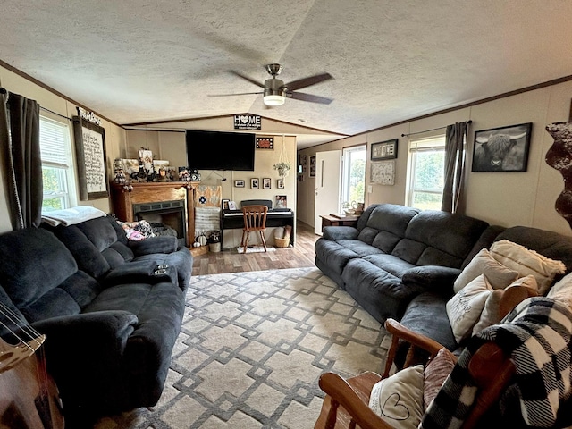 living room with plenty of natural light, vaulted ceiling, wood-type flooring, and a textured ceiling