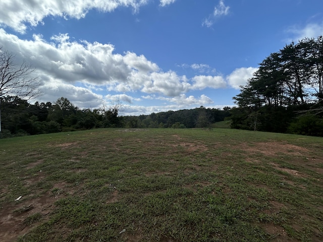 view of yard with a rural view