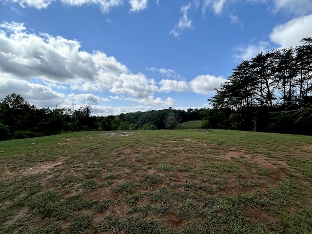 view of yard with a rural view