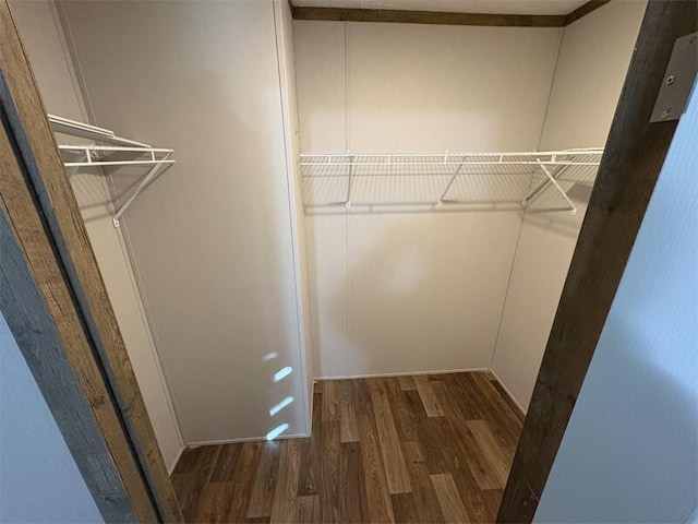 walk in closet with dark wood-type flooring