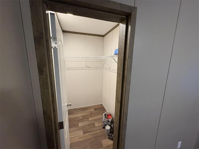 walk in closet featuring dark hardwood / wood-style floors