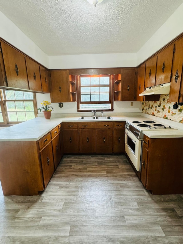 kitchen featuring a textured ceiling, light hardwood / wood-style floors, white electric stove, and sink