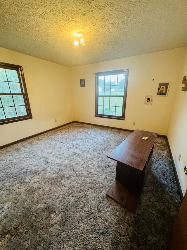 interior space with carpet floors and a textured ceiling