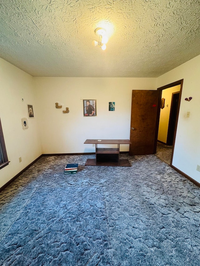 interior space with carpet and a textured ceiling