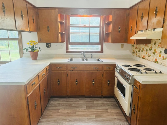 kitchen featuring light wood-type flooring, a healthy amount of sunlight, white range with electric cooktop, and sink