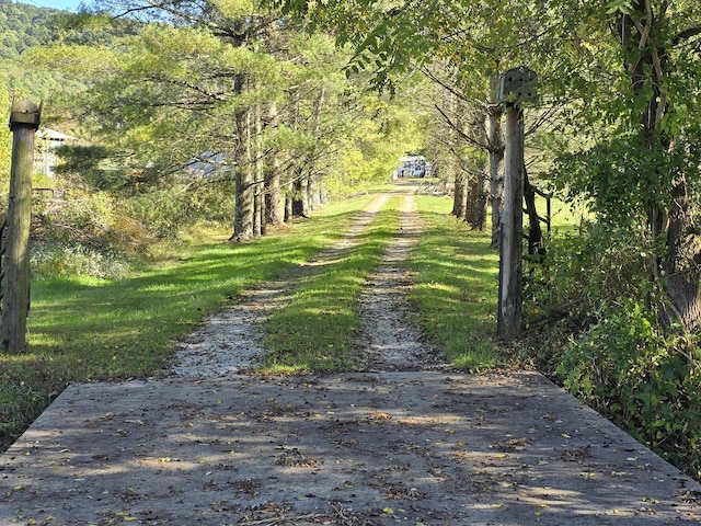 163 Eulett Ln, Vanceburg, KY 41179 - view of dirt / gravel road with a forest view