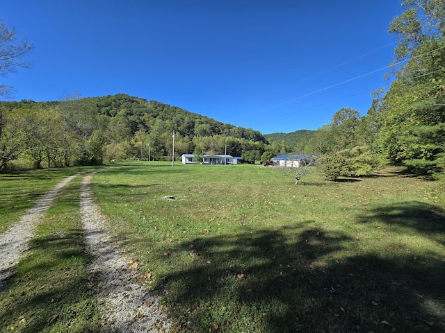 163 Eulett Ln, Vanceburg, KY 41179 - view of mountain background with rural landscape