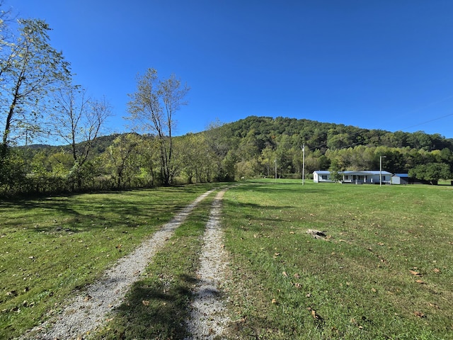 163 Eulett Ln, Vanceburg, KY 41179 - mountain view with a heavily wooded area and rural landscape