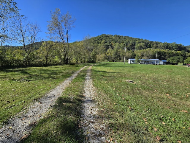 163 Eulett Ln, Vanceburg, KY 41179 - view of dirt / gravel road with a mountain view, a forest view, and a view of rural / pastoral area