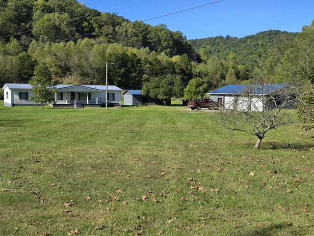 163 Eulett Ln, Vanceburg, KY 41179 - view of grassy yard featuring a view of trees and a porch