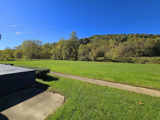 163 Eulett Ln, Vanceburg, KY 41179 - view of grassy yard with a forest view