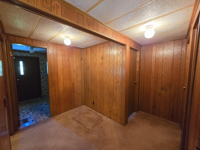 163 Eulett Ln, Vanceburg, KY 41179 - finished below grade area with carpet and wooden walls