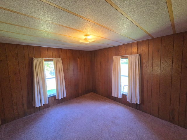 carpeted spare room with a healthy amount of sunlight and wood walls