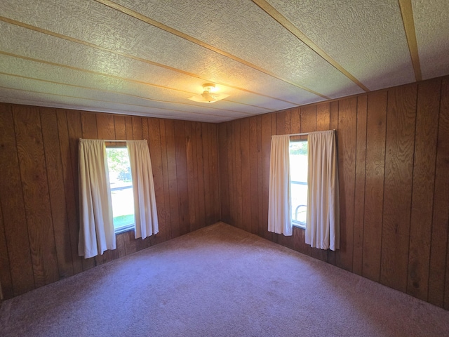 163 Eulett Ln, Vanceburg, KY 41179 - carpeted spare room with healthy amount of natural light, wooden walls, and a textured ceiling