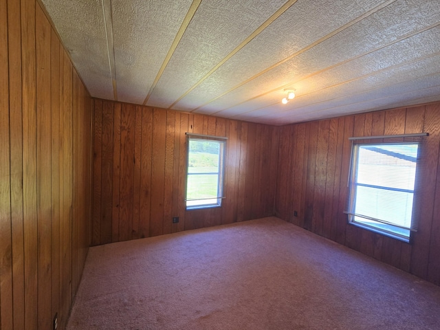 163 Eulett Ln, Vanceburg, KY 41179 - carpeted empty room with wood walls