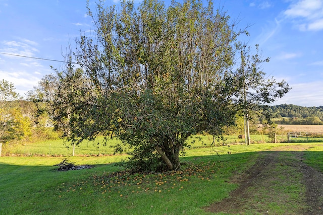 view of yard with a rural view