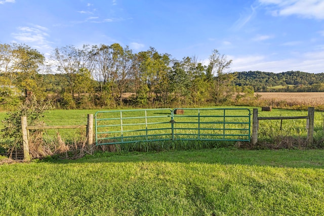 view of yard featuring a rural view