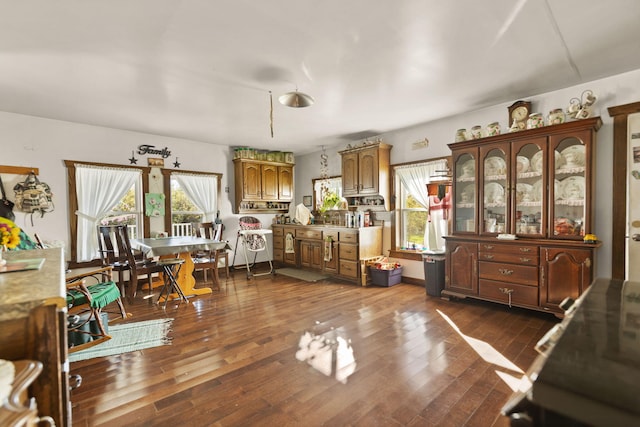 interior space featuring a wealth of natural light and dark hardwood / wood-style flooring