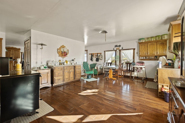 kitchen featuring dark wood-type flooring