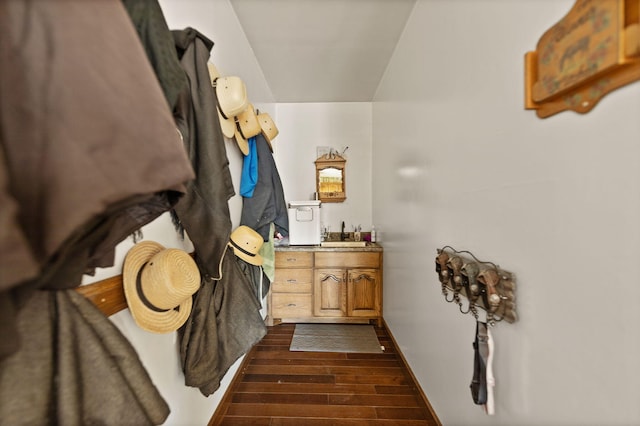 interior space featuring vanity and hardwood / wood-style flooring