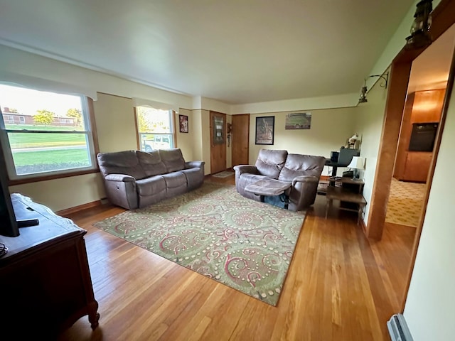 living room with hardwood / wood-style flooring