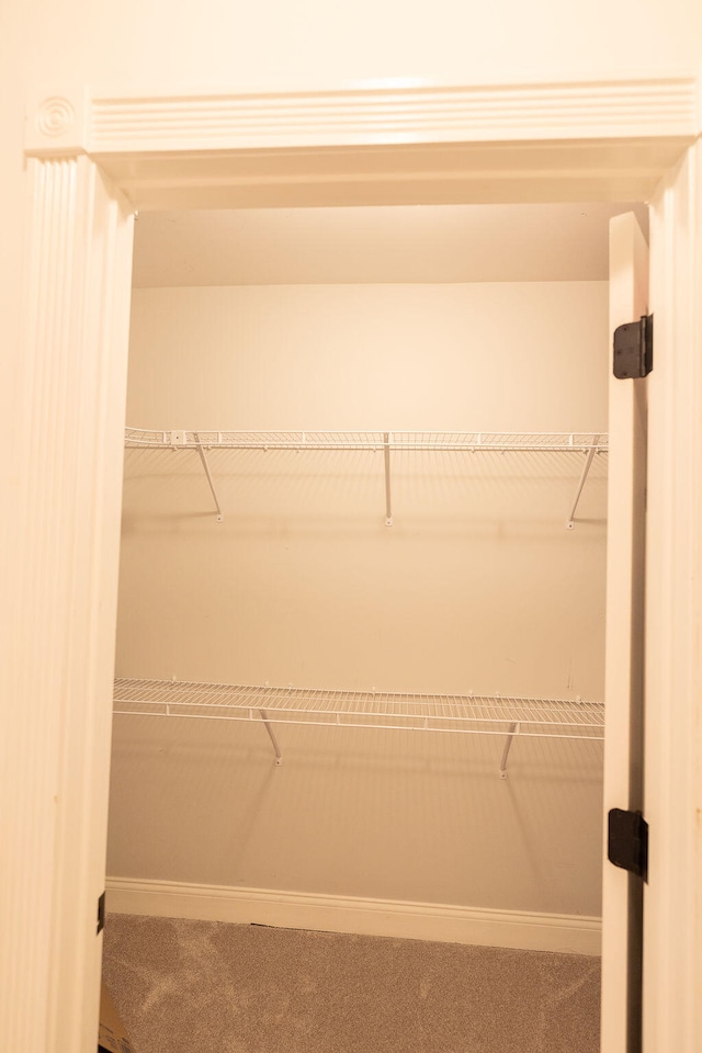 spacious closet with carpet