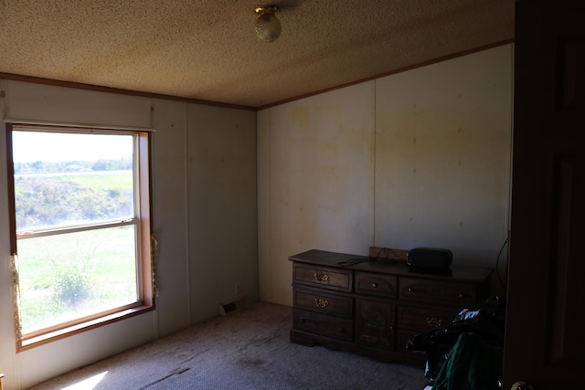 misc room featuring light carpet and a textured ceiling