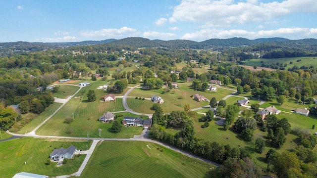 aerial view with a mountain view and a rural view