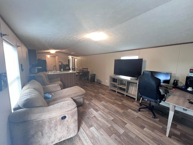 living room with a textured ceiling and wood-type flooring