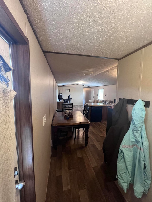 hall with a textured ceiling, dark hardwood / wood-style flooring, and plenty of natural light