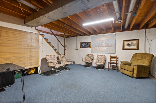 basement with carpet floors