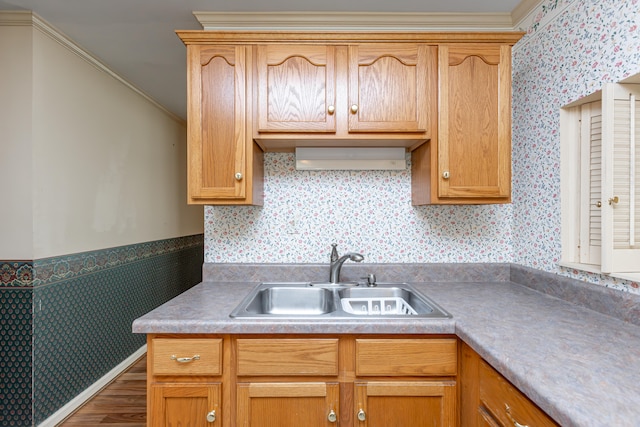 kitchen with wood-type flooring, sink, and crown molding