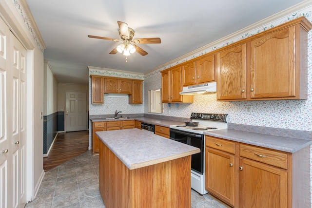 kitchen with light wood-type flooring, electric range, sink, a kitchen island, and ornamental molding