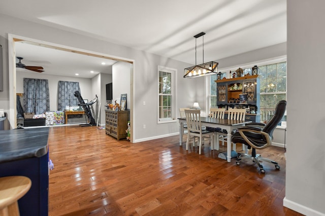 dining area with hardwood / wood-style floors and ceiling fan