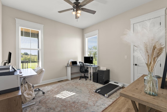 office area featuring a wealth of natural light, wood-type flooring, and ceiling fan