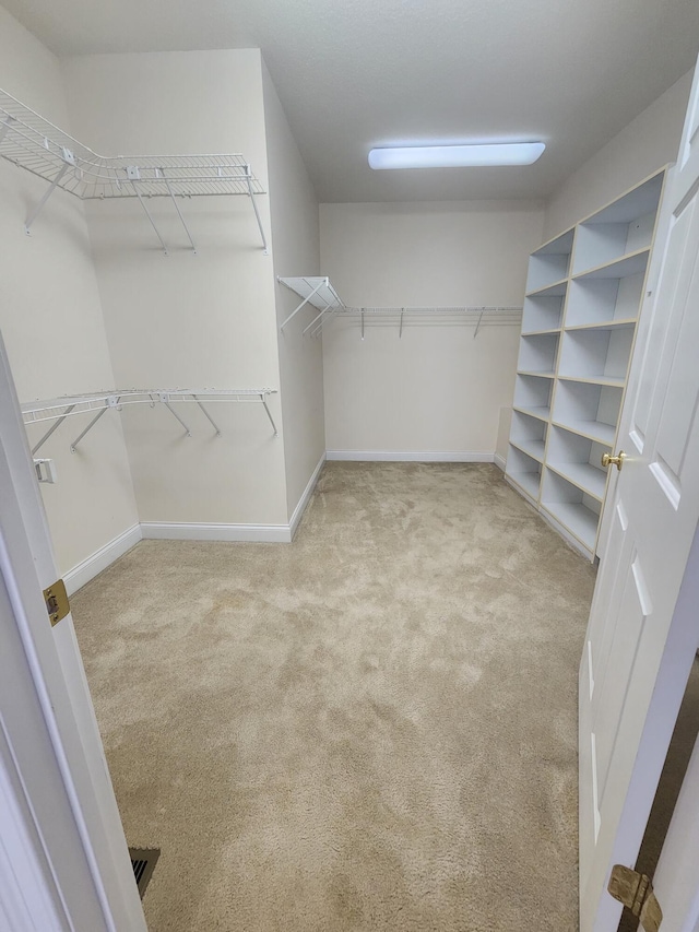 walk in closet with light colored carpet