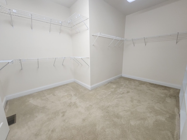 spacious closet with light colored carpet