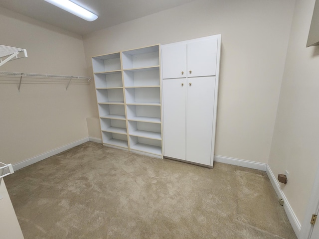 spacious closet with light colored carpet