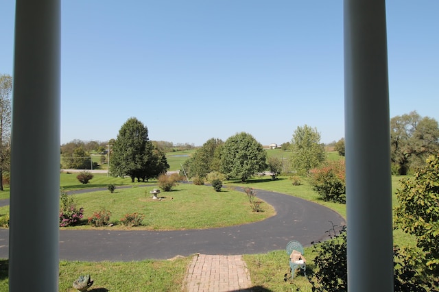 view of community featuring a yard